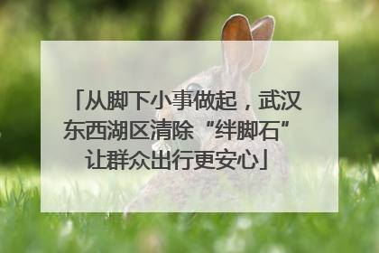 从脚下小事做起，武汉东西湖区清除“绊脚石”让群众出行更安心