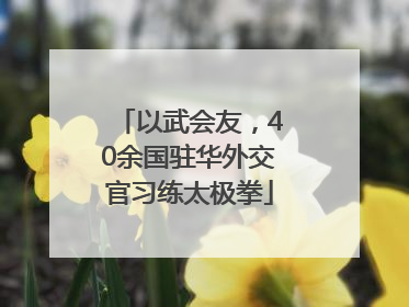 以武会友，40余国驻华外交官习练太极拳