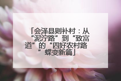 会泽县则补村：从“泥泞路”到“致富道”的“四好农村路”蝶变新篇