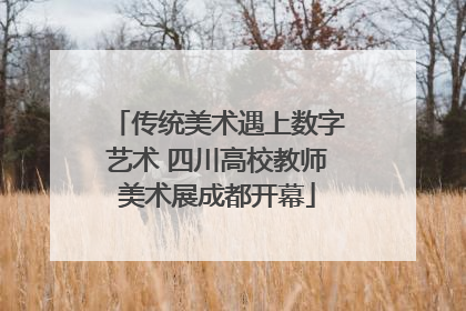 传统美术遇上数字艺术 四川高校教师美术展成都开幕