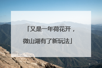 又是一年荷花开，微山湖有了新玩法