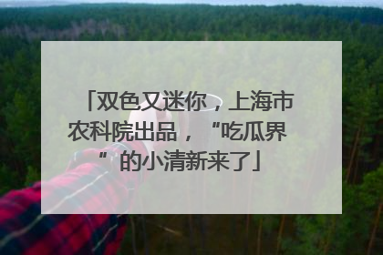 双色又迷你，上海市农科院出品，“吃瓜界”的小清新来了