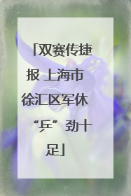 双赛传捷报 上海市徐汇区军休“乒”劲十足