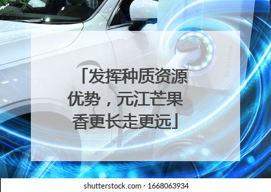 发挥种质资源优势，元江芒果香更长走更远