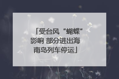 受台风“蝴蝶”影响 部分进出海南岛列车停运
