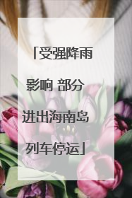 受强降雨影响 部分进出海南岛列车停运