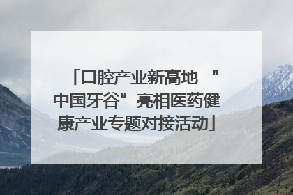 口腔产业新高地 “中国牙谷”亮相医药健康产业专题对接活动