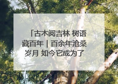 古木阅吉林 树语藏百年｜百余年沧桑岁月 如今它成为了“镇园之宝”