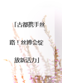 古都携手丝路！丝博会绽放新活力
