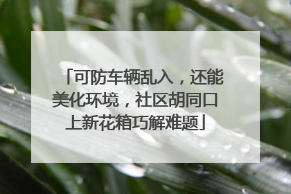 可防车辆乱入，还能美化环境，社区胡同口上新花箱巧解难题