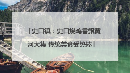史口镇：史口烧鸡香飘黄河大集 传统美食受热捧