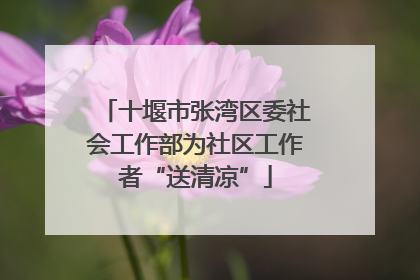 十堰市张湾区委社会工作部为社区工作者“送清凉”
