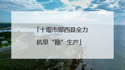 十堰市郧西县全力抗旱“稳”生产