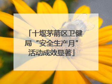 十堰茅箭区卫健局“安全生产月”活动成效显著