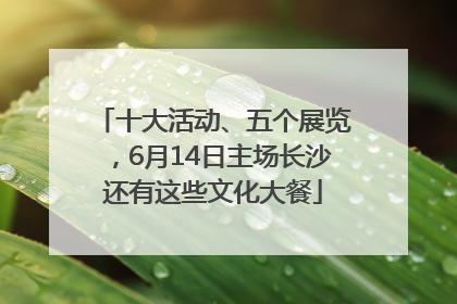 十大活动、五个展览，6月14日主场长沙还有这些文化大餐