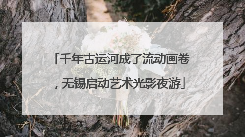 千年古运河成了流动画卷，无锡启动艺术光影夜游