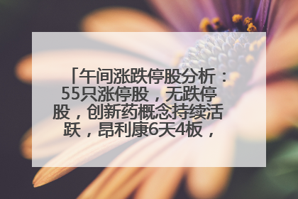 午间涨跌停股分析：55只涨停股，无跌停股，创新药概念持续活跃，昂利康6天4板，众生药业2连板