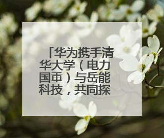 华为携手清华大学（电力国重）与岳能科技，共同探索智慧新能源集控新未来