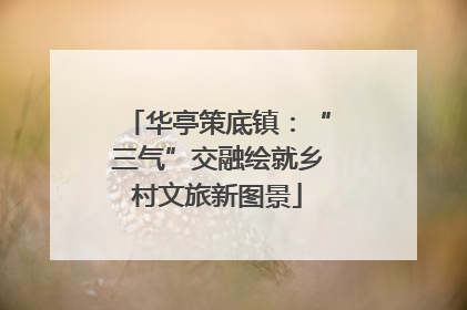 华亭策底镇：“三气”交融绘就乡村文旅新图景