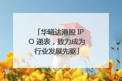 华曦达港股 IPO 递表，致力成为行业发展先驱