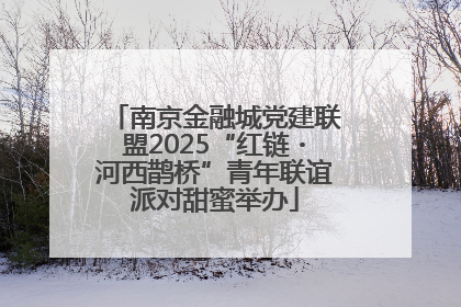 南京金融城党建联盟2025“红链・河西鹊桥”青年联谊派对甜蜜举办