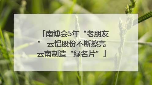 南博会5年“老朋友” 云铝股份不断擦亮云南制造“绿名片”