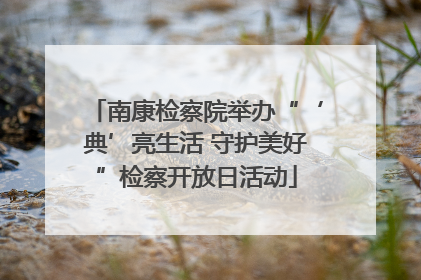 南康检察院举办“‘典’亮生活 守护美好”检察开放日活动