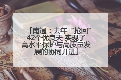 南通：去年“抢回”42个优良天 实现了高水平保护与高质量发展的协同并进