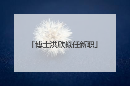 博士洪欣拟任新职