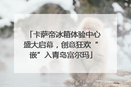 卡萨帝冰箱体验中心盛大启幕，创意狂欢“嵌”入青岛富尔玛