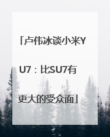 卢伟冰谈小米YU7：比SU7有更大的受众面