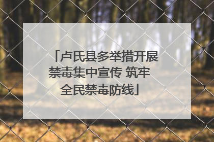 卢氏县多举措开展禁毒集中宣传 筑牢全民禁毒防线