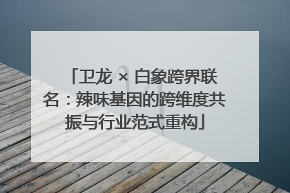卫龙 × 白象跨界联名：辣味基因的跨维度共振与行业范式重构