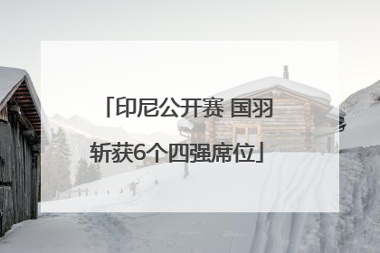 印尼公开赛 国羽斩获6个四强席位