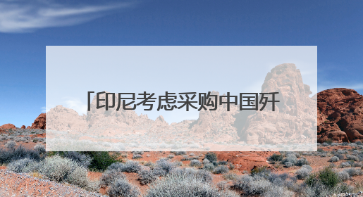 印尼考虑采购中国歼-10战斗机 正评估性能与成本优势