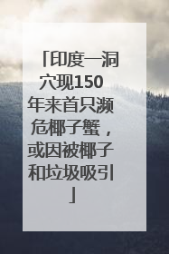 印度一洞穴现150年来首只濒危椰子蟹，或因被椰子和垃圾吸引