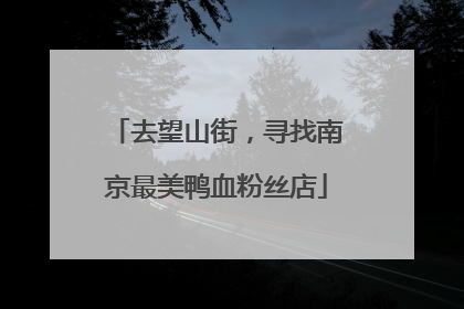 去望山街，寻找南京最美鸭血粉丝店
