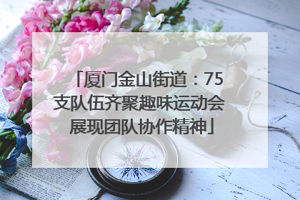 厦门金山街道：75支队伍齐聚趣味运动会 展现团队协作精神