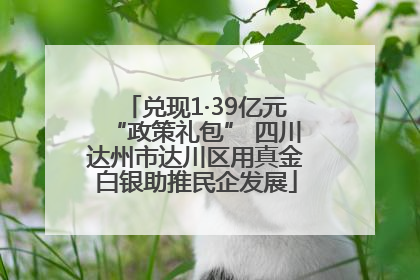 兑现1·39亿元“政策礼包” 四川达州市达川区用真金白银助推民企发展