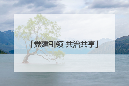 党建引领 共治共享