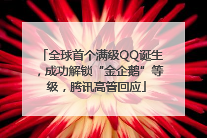 全球首个满级QQ诞生，成功解锁“金企鹅”等级，腾讯高管回应