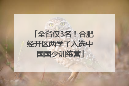 全省仅3名！合肥经开区两学子入选中国国少训练营