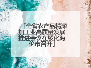 全省农产品精深加工业高质量发展推进会议在绥化海伦市召开