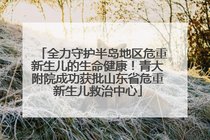 全力守护半岛地区危重新生儿的生命健康！青大附院成功获批山东省危重新生儿救治中心