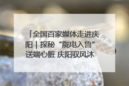 全国百家媒体走进庆阳｜探秘“陇电入鲁”送端心脏 庆阳驭风沐光点亮齐鲁万家