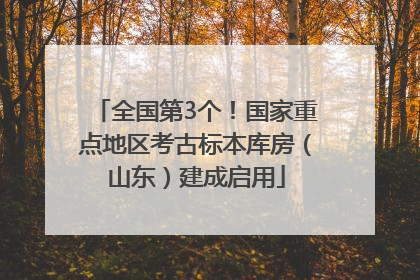 全国第3个！国家重点地区考古标本库房（山东）建成启用
