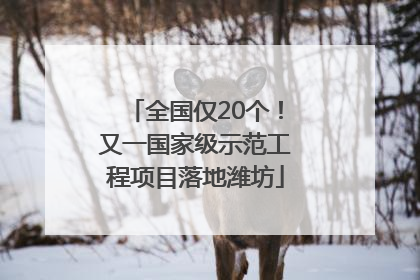 全国仅20个！又一国家级示范工程项目落地潍坊