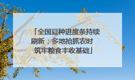 全国夏种进度条持续刷新：多地抢抓农时 筑牢粮食丰收基础
