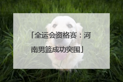 全运会资格赛：河南男篮成功突围