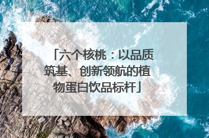 六个核桃：以品质筑基、创新领航的植物蛋白饮品标杆